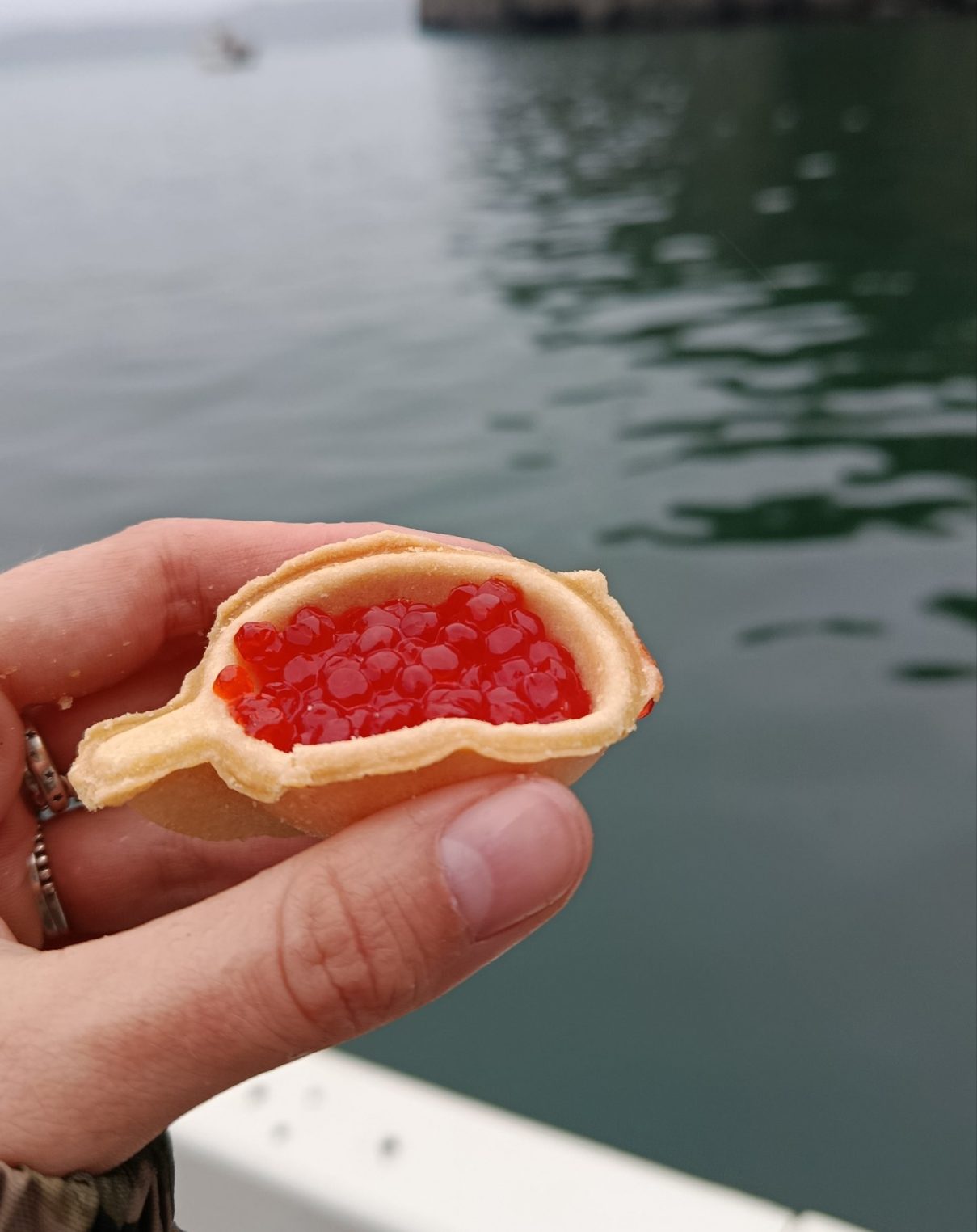 День рождения на краю России: костромичка съездила на Камчатку