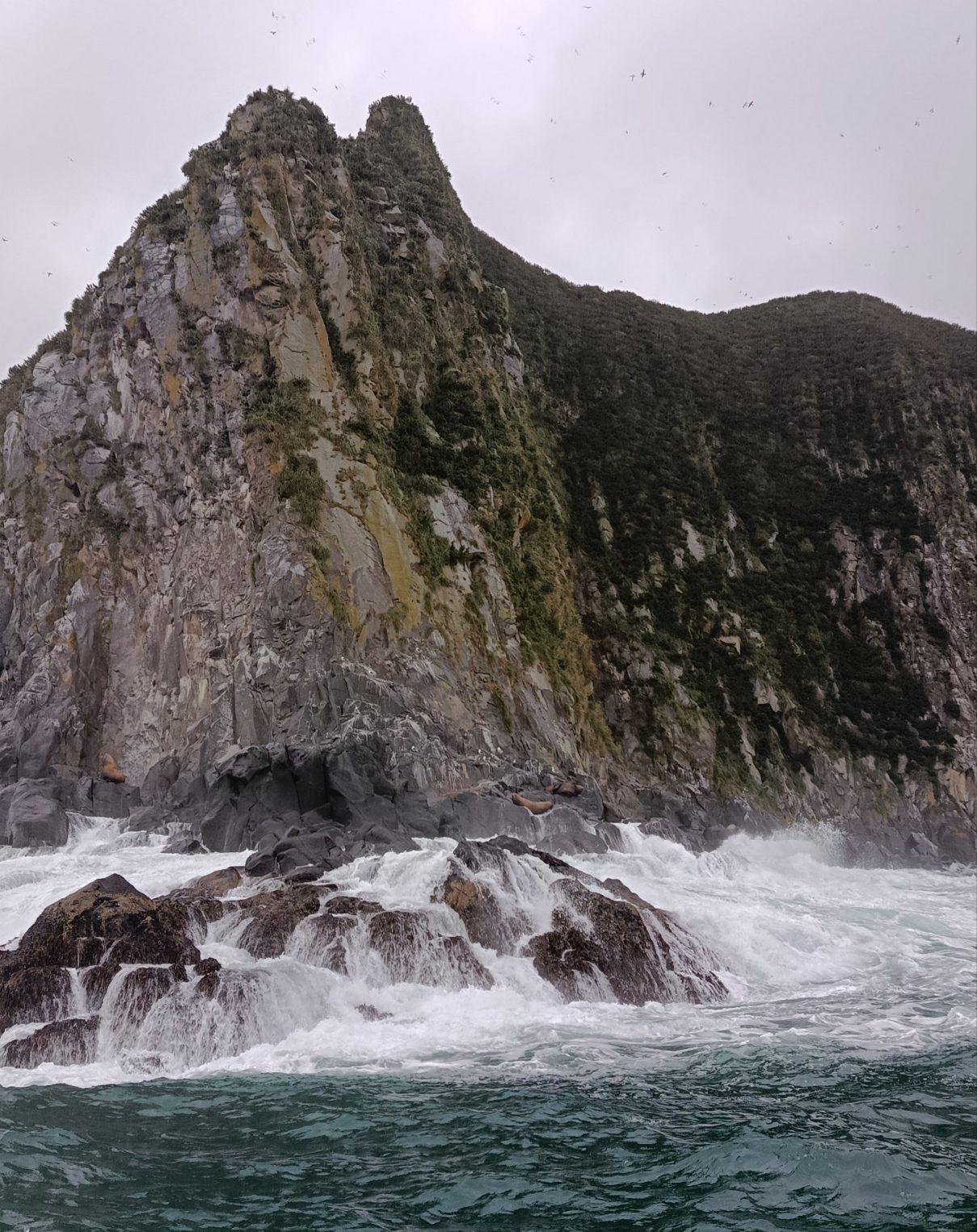 День рождения на краю России: костромичка съездила на Камчатку