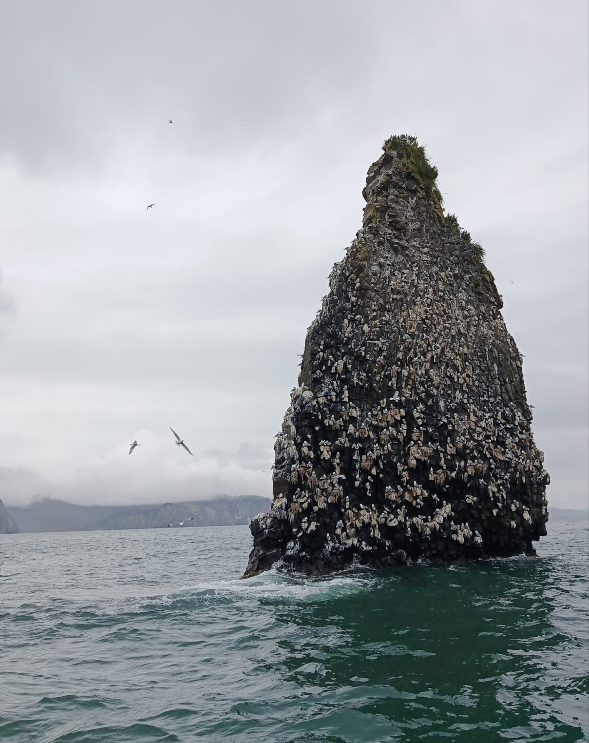 День рождения на краю России: костромичка съездила на Камчатку