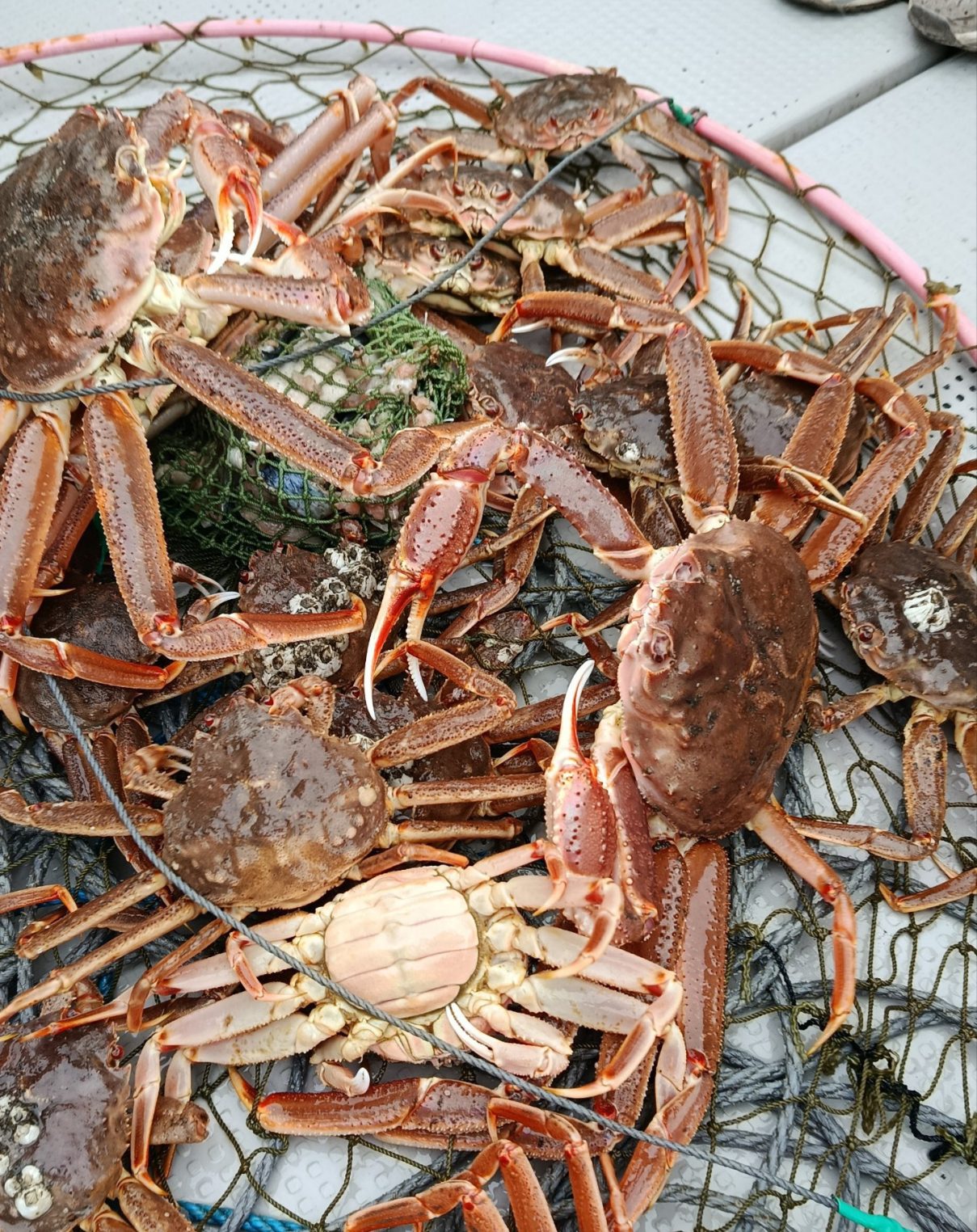 День рождения на краю России: костромичка съездила на Камчатку