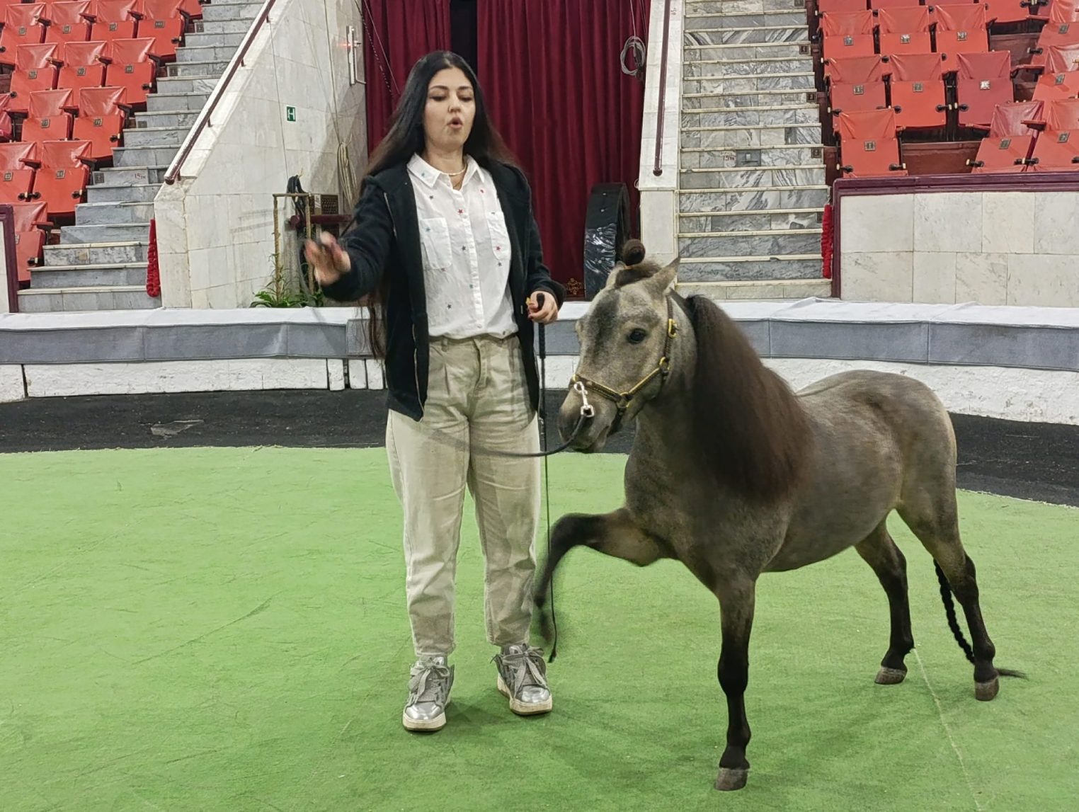 Радиоэкспедиция Т2 завершилась на арене Костромского цирка