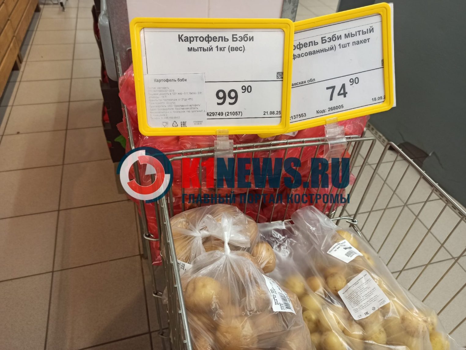 Нашли дешевле: сколько стоит картофель в магазинах Костромы