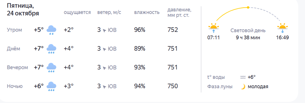 Прогноз погоды в Костроме: на следующей неделе утепляемся и достаем зонты