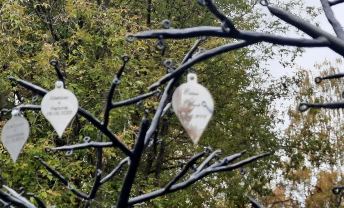 Дерево любви в Костроме покрывается новыми листочками