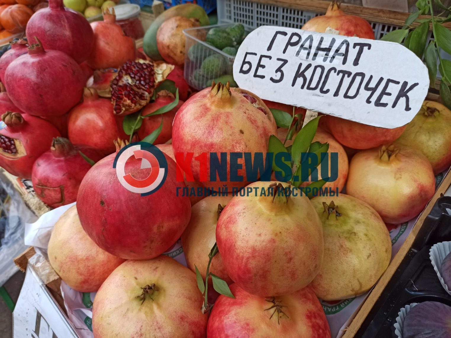 Загадочные зернистые яблоки без потомства обнаружили в Костроме