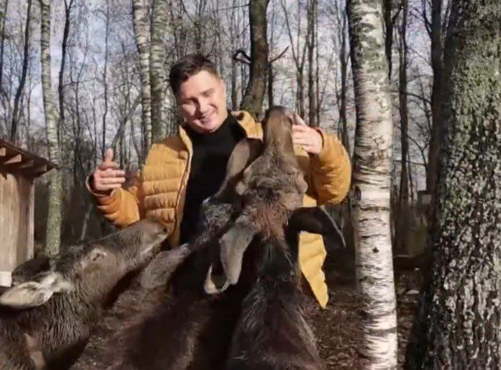 Костромской лось взасос поцеловал телеведущую канала "Россия-1"