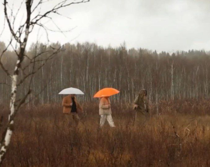 Костромской лось взасос поцеловал телеведущую канала "Россия-1"