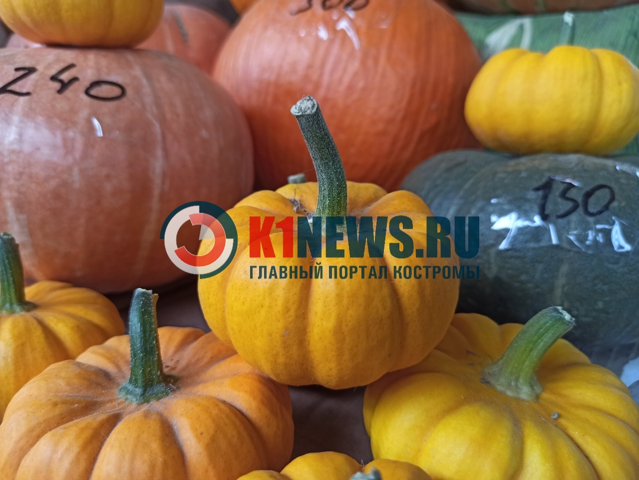 Идем за тыквой и варим суп на Тыквенный Спас