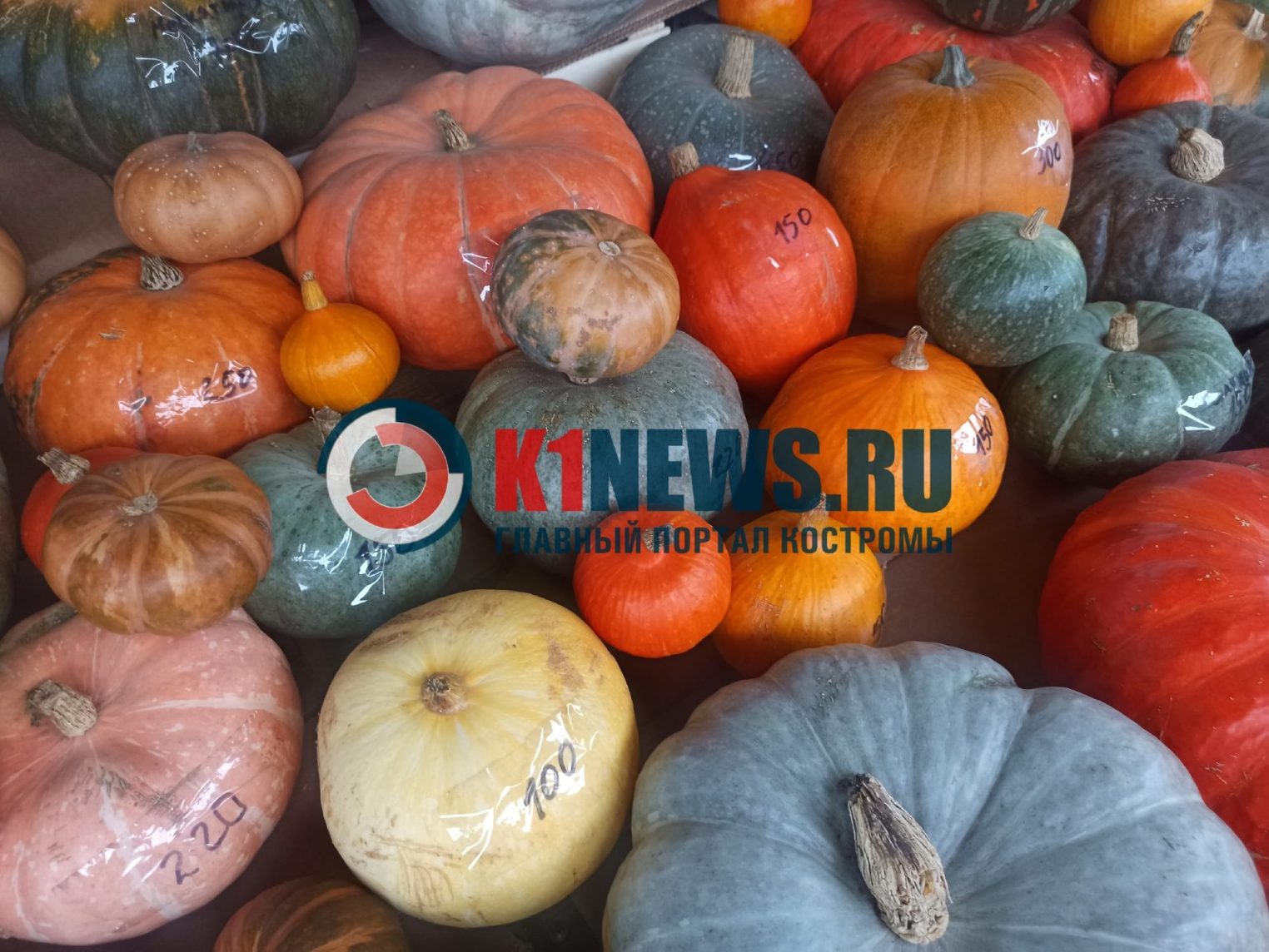 Идем за тыквой и варим суп на Тыквенный Спас