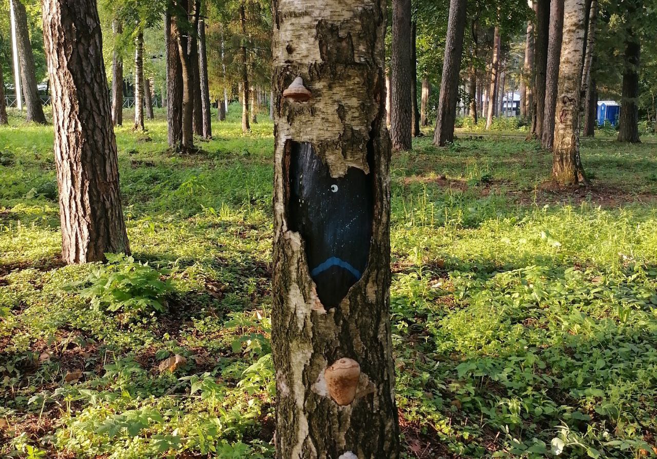 Сказочную галерею на деревьях парка создали костромички