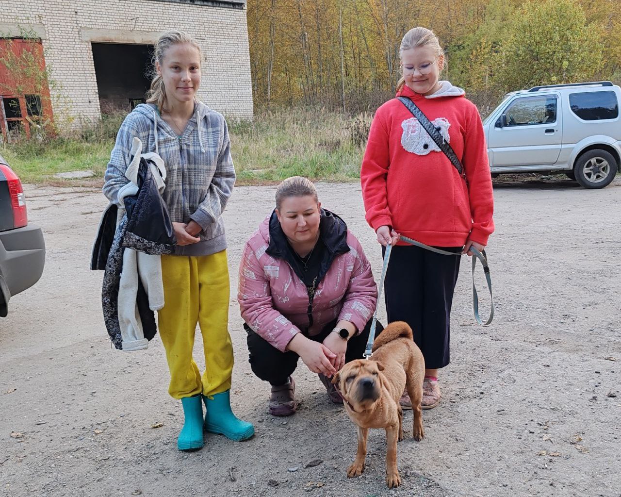 Шарпей с тяжелой судьбой заслужил тепло любящей семьи