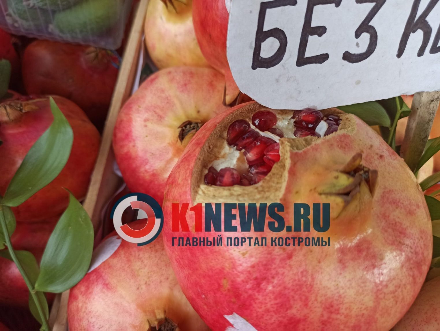 Загадочные зернистые яблоки без потомства обнаружили в Костроме