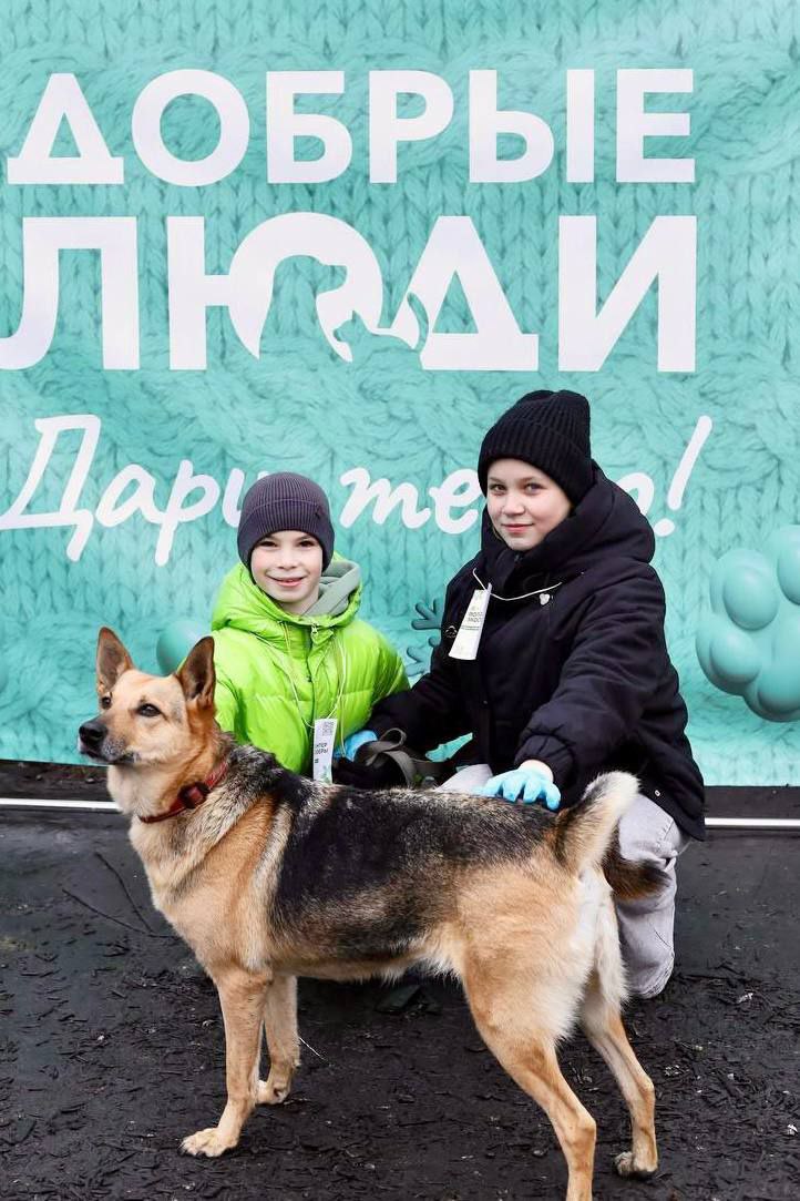 В Костроме «Новые люди» анонсировали программу помощи приютам для животных