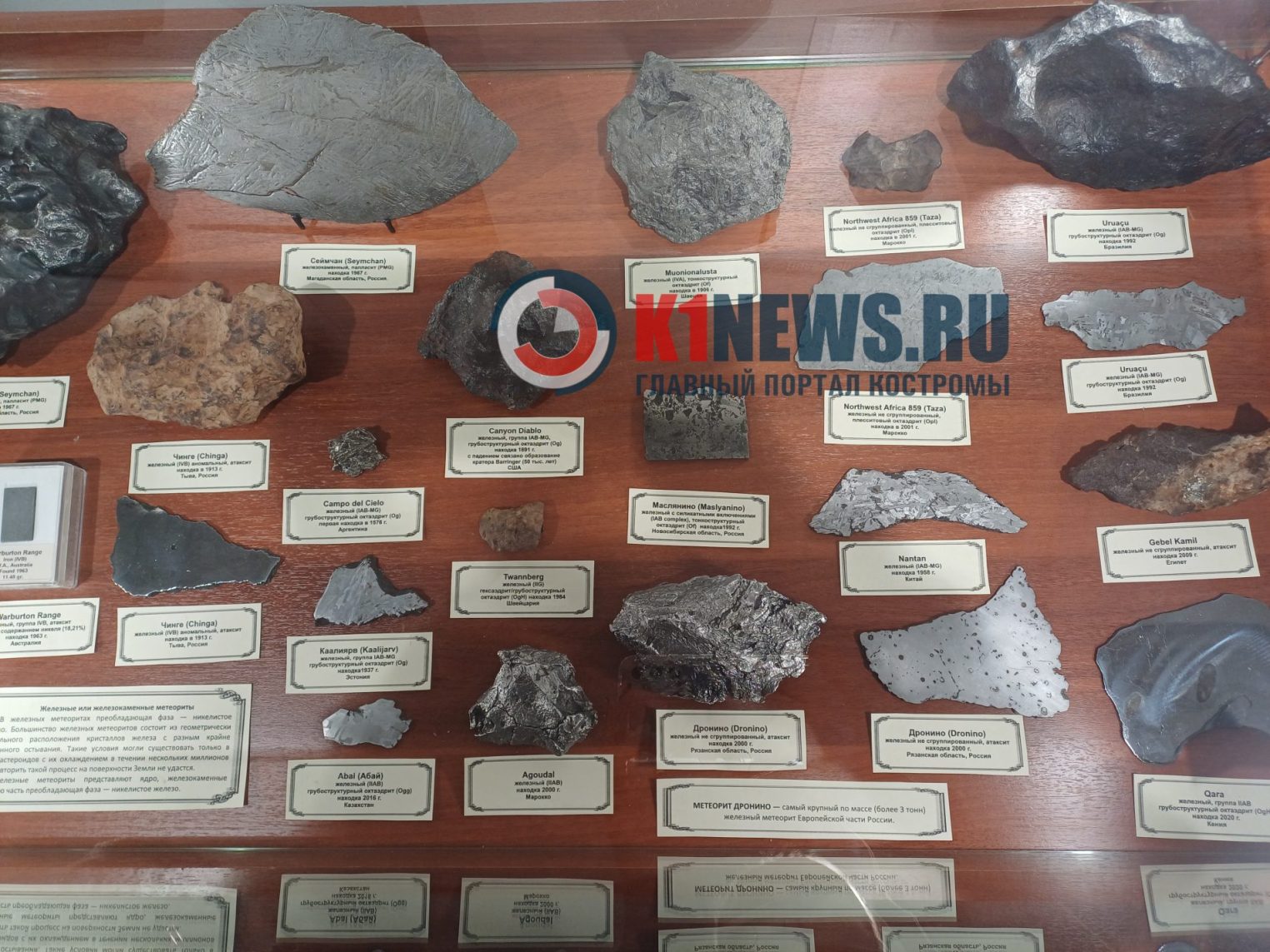 Гости из космоса и древние ящеры поселились в Костроме