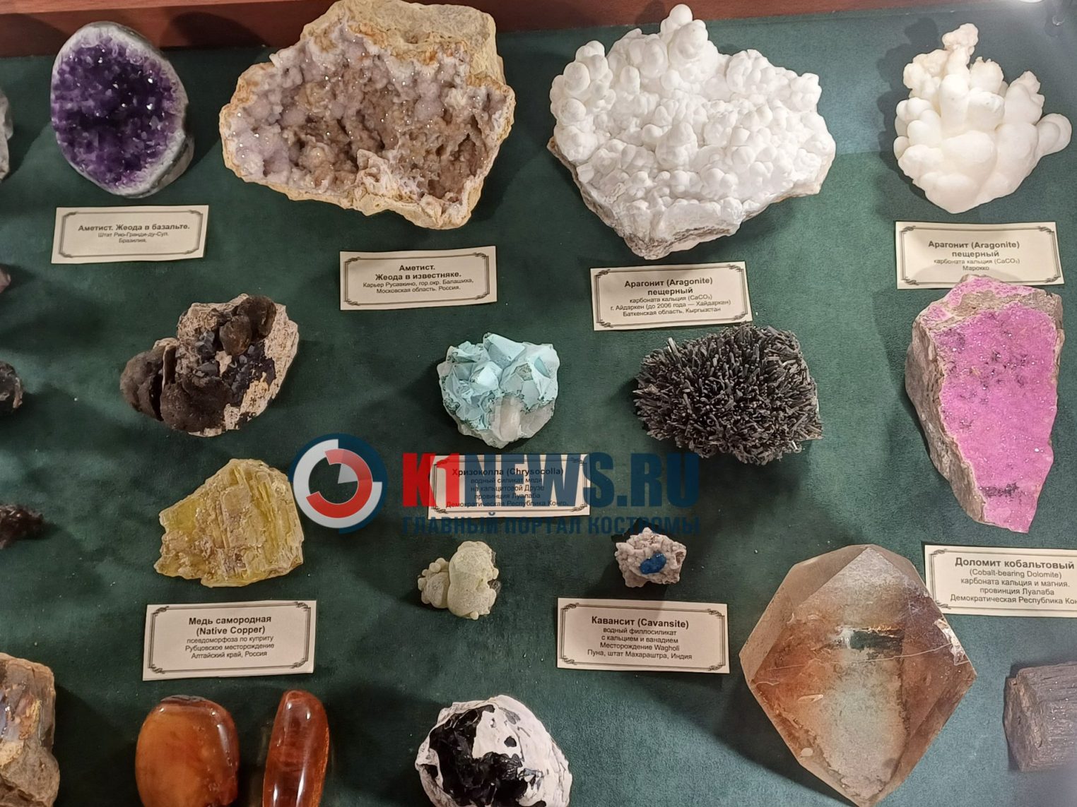 Гости из космоса и древние ящеры поселились в Костроме