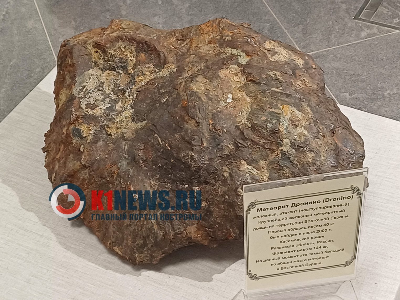 Гости из космоса и древние ящеры поселились в Костроме