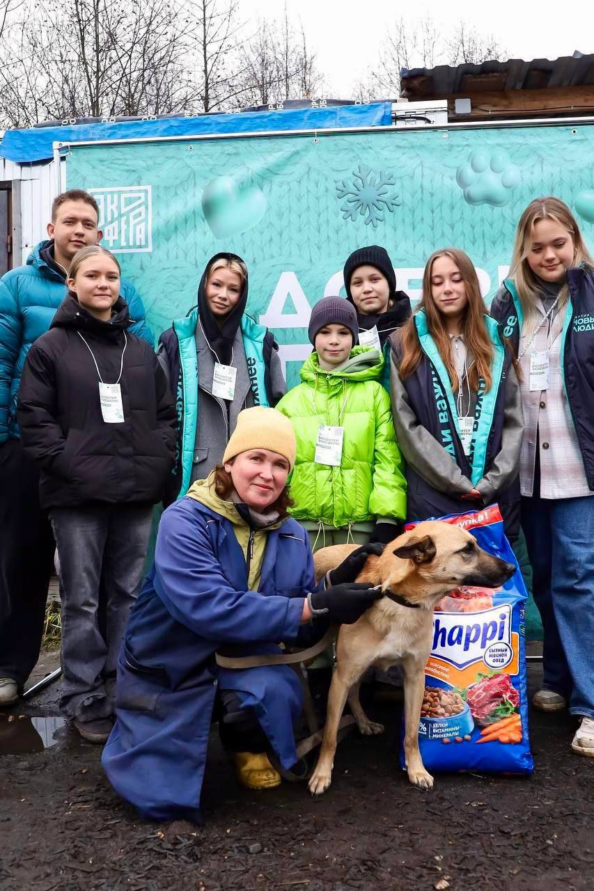 В Костроме «Новые люди» анонсировали программу помощи приютам для животных