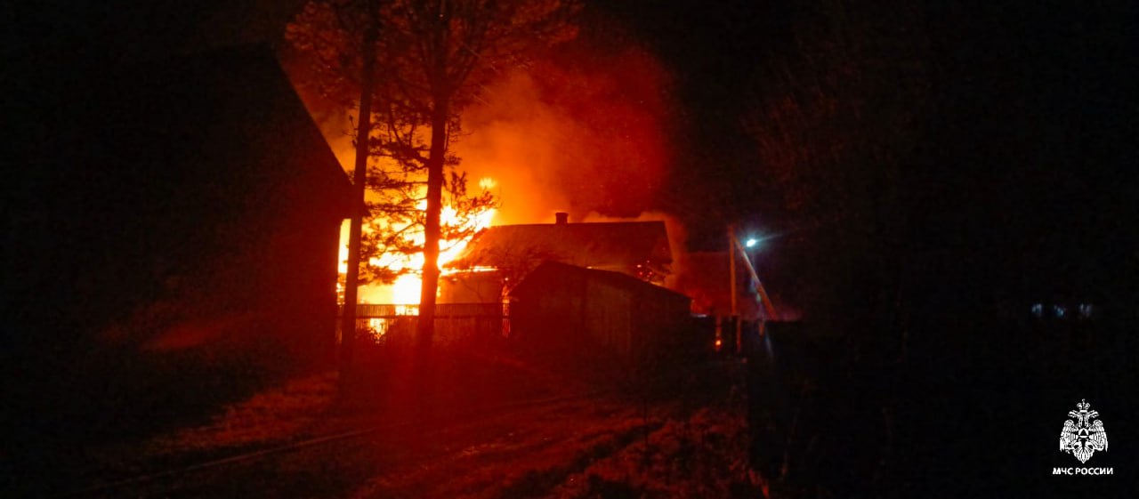 Частный дом костромичей и будка собаки превратились в пепел