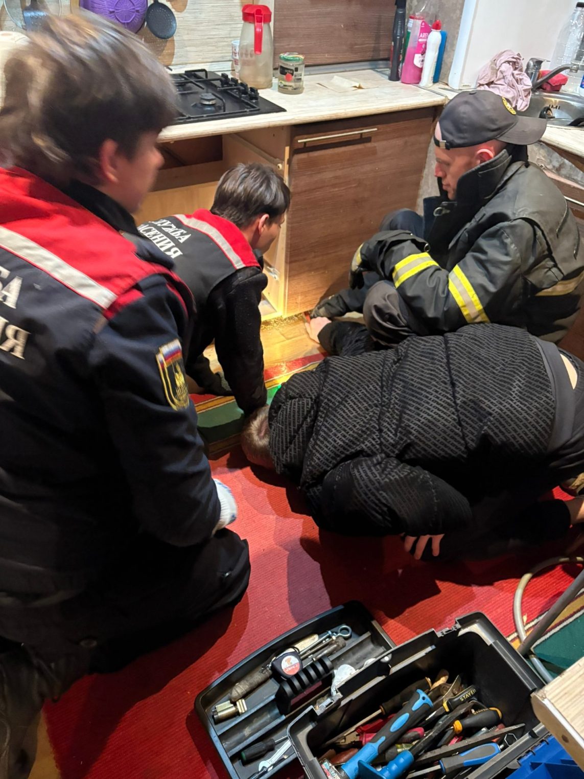 Костромские спасатели вчетвером доставали кошку из-под шкафа