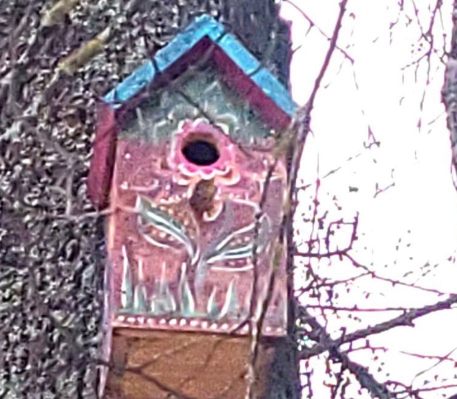 Яркий птичий городок появился под Костромой