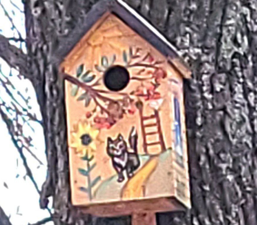 Яркий птичий городок появился под Костромой