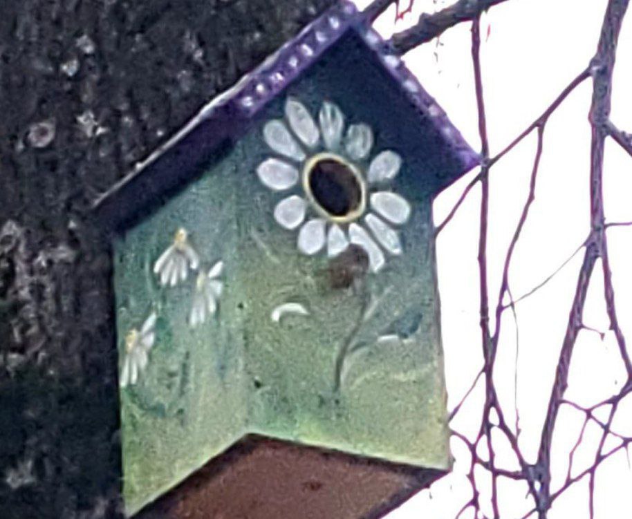 Яркий птичий городок появился под Костромой