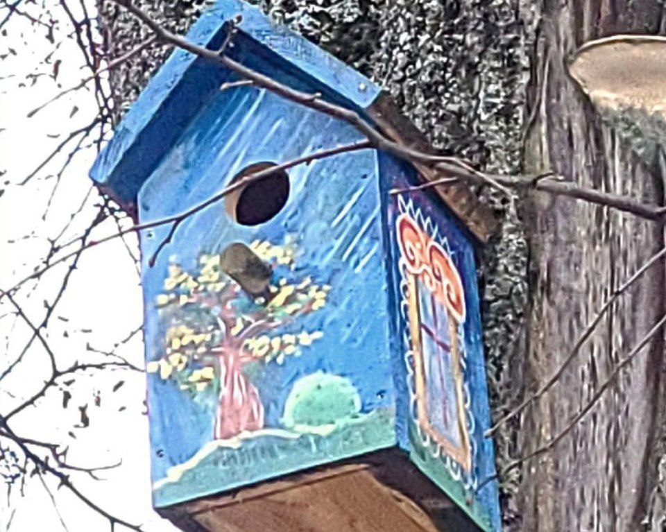 Яркий птичий городок появился под Костромой