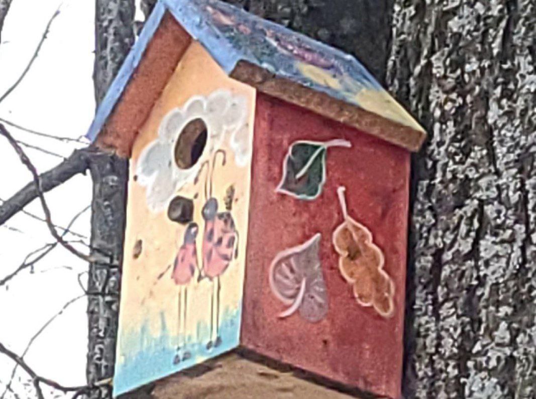 Яркий птичий городок появился под Костромой