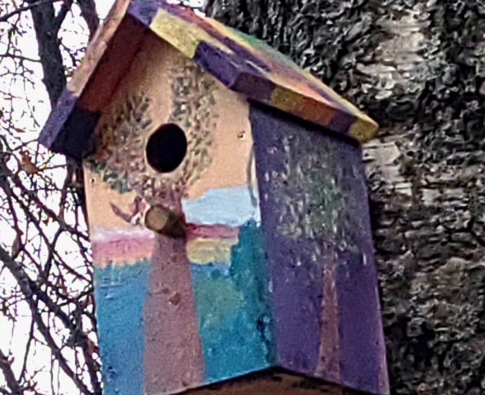 Яркий птичий городок появился под Костромой