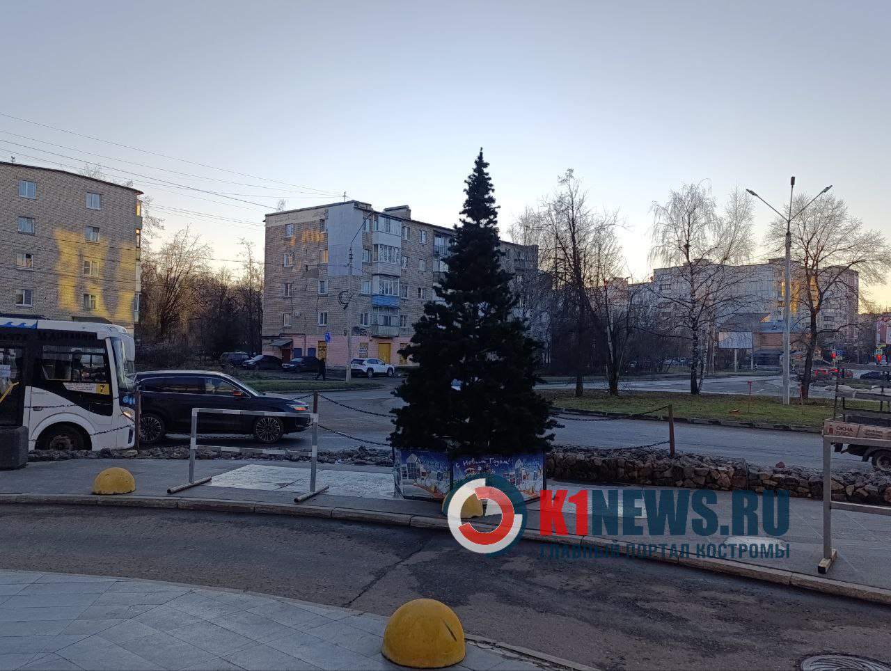 Главная елка Костромы вернется на Сусанинскую площадь