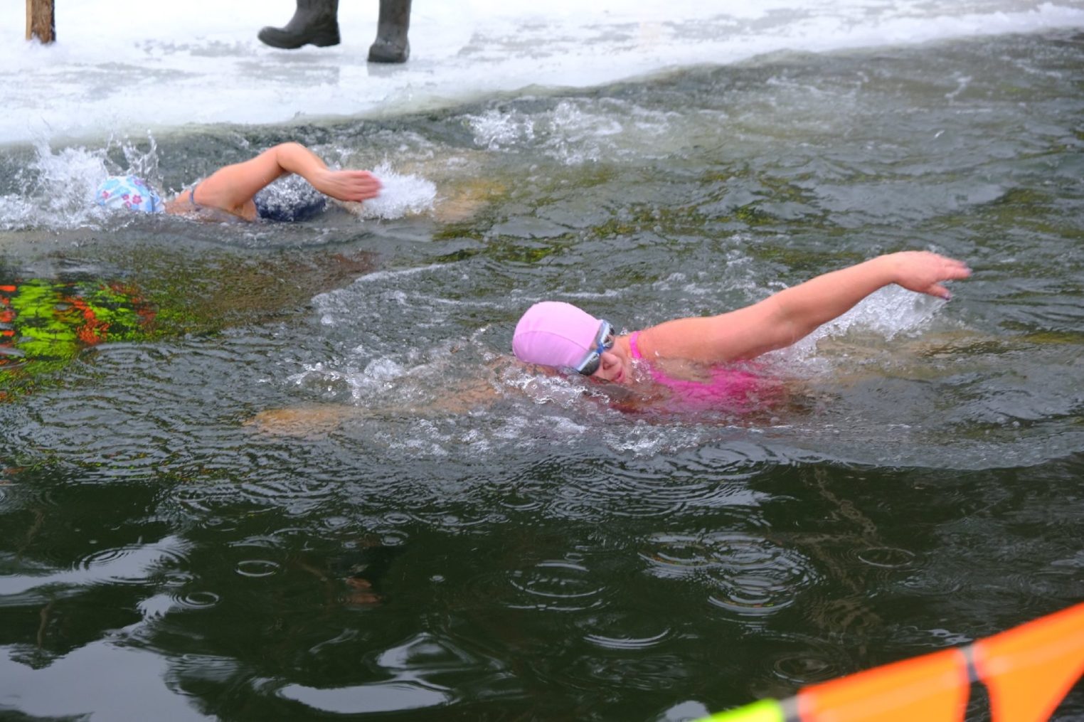 Костромские моржи в субботу откроют сезон купания