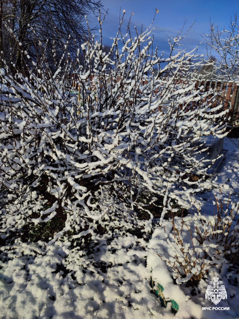 В Костромскую область пришла зима - и привела снеговичков