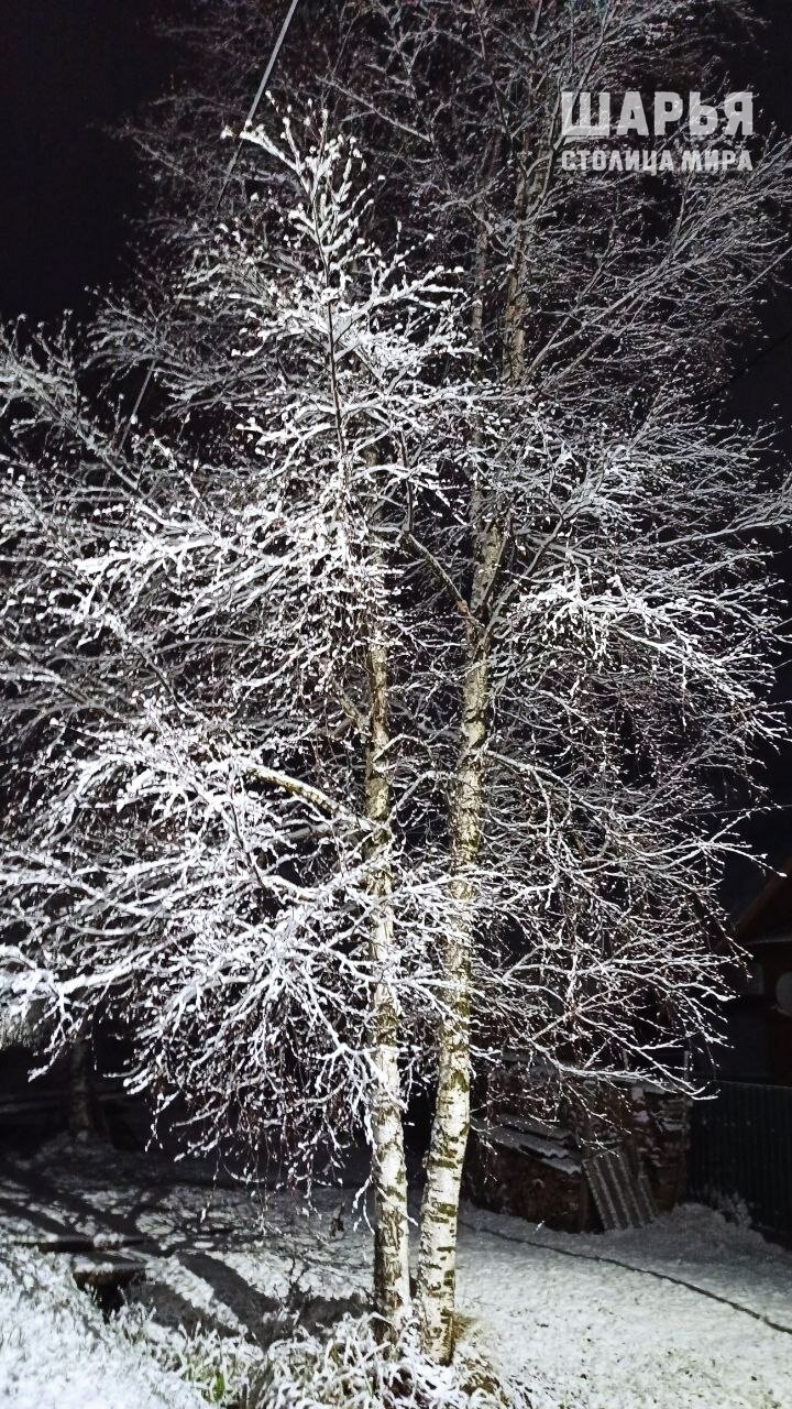 Первый снег украсил костромской райцентр зимними пейзажами