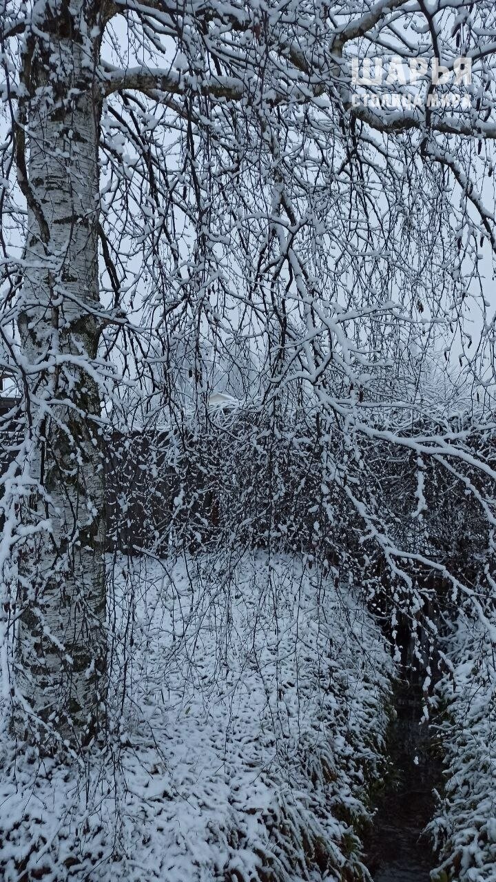 Первый снег украсил костромской райцентр зимними пейзажами