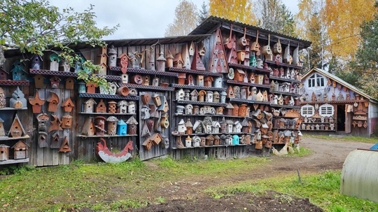 Тысячи скворечников разместил костромич на своем дачном участке