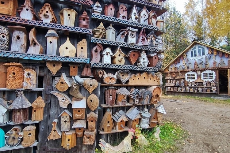 Тысячи скворечников разместил костромич на своем дачном участке