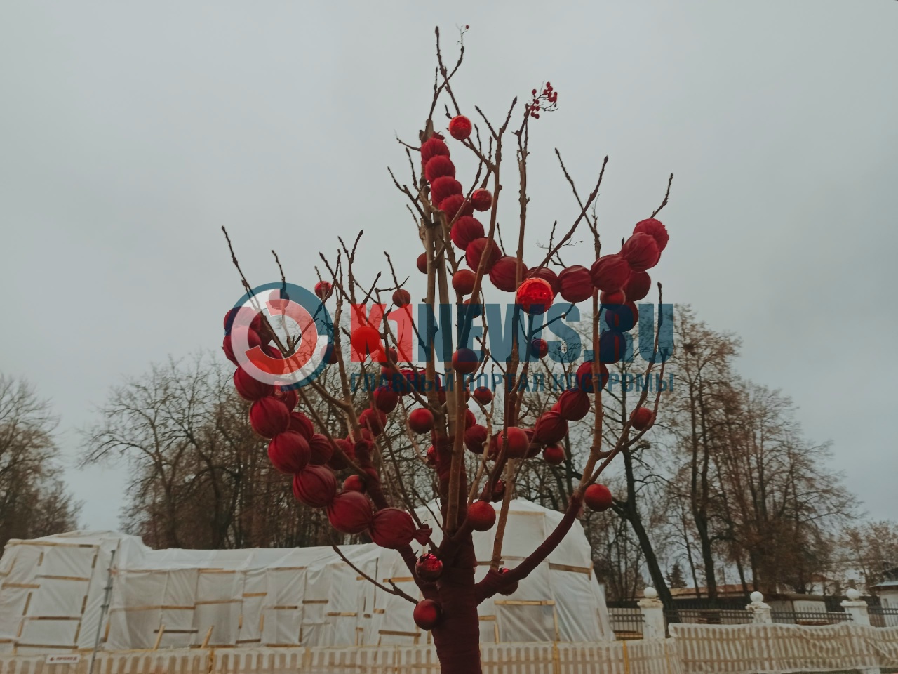 Снеговички, яблони и Дед инкогнито: Кострома вовсю готовится к Новому году