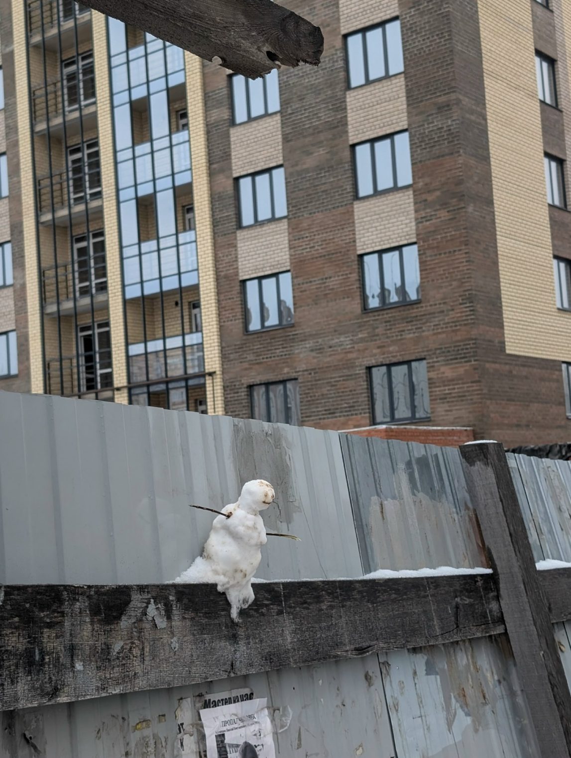 Снеговички, яблони и Дед инкогнито: Кострома вовсю готовится к Новому году