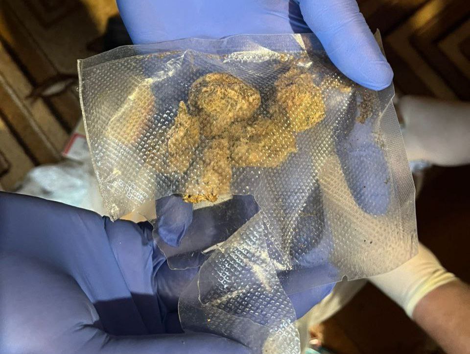 Плантация зеленого яда три года зрела в огороде костромича