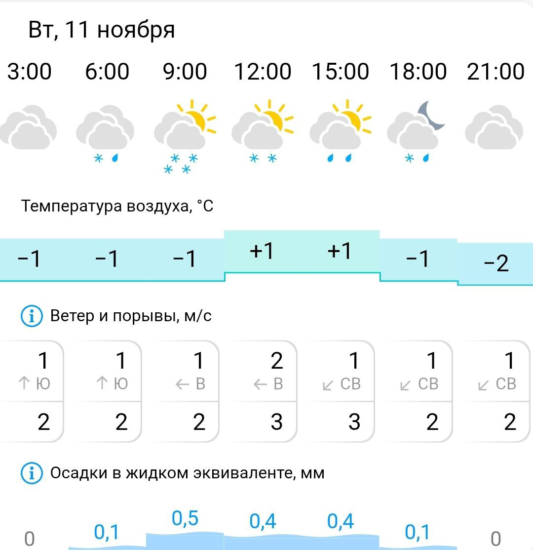 Прогноз погоды в Костроме: горожане встретят первый снег