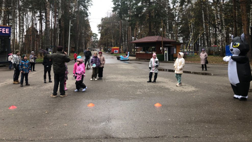 В Костроме собирают корма для бездомных животных