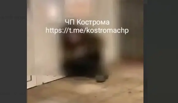 Агрессивных детишек планируют наказывать по-взрослому