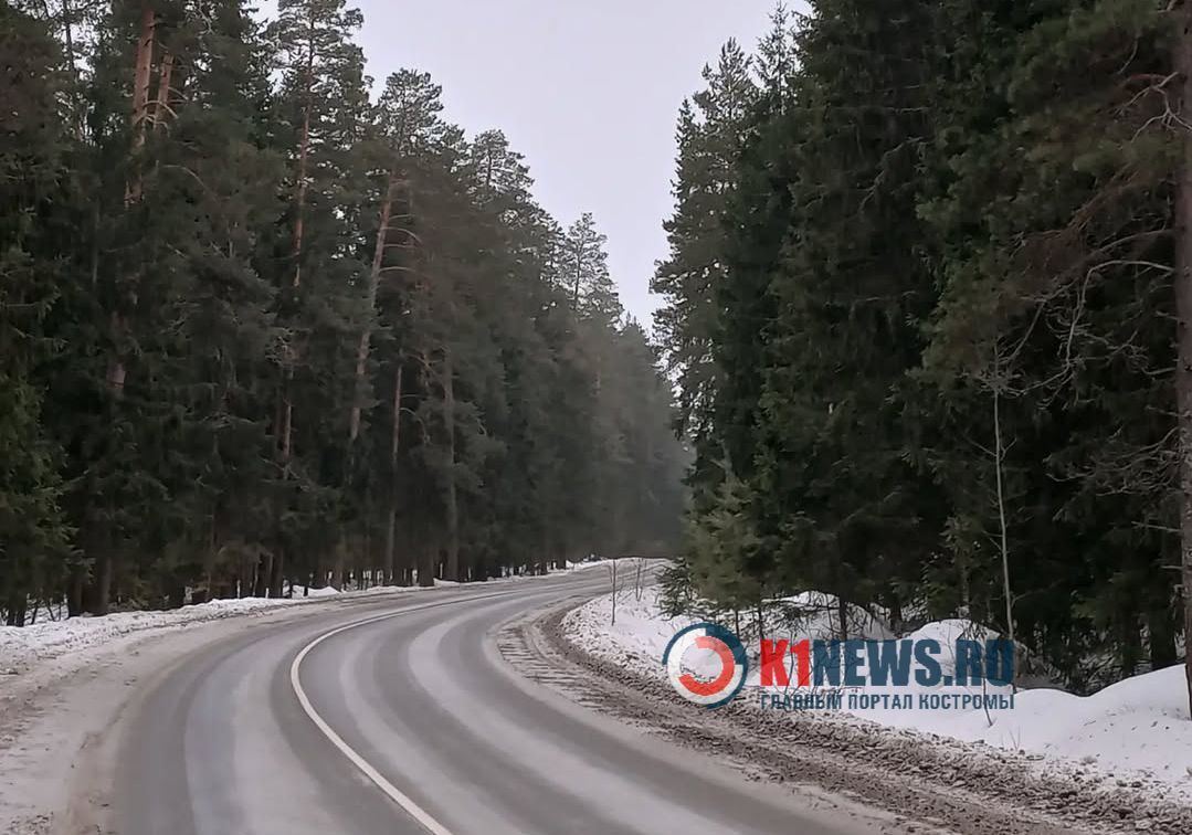 В Кострому пришла литературная зима