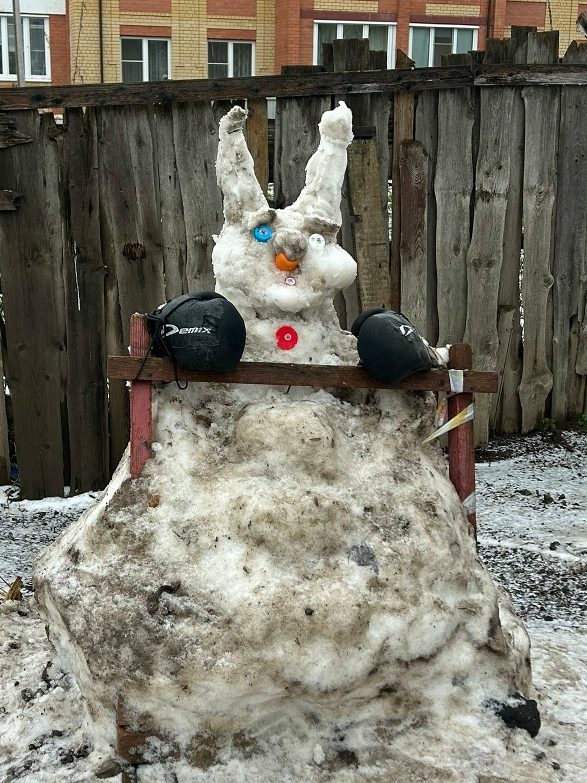 Какая зима — такие и костромские снеговики