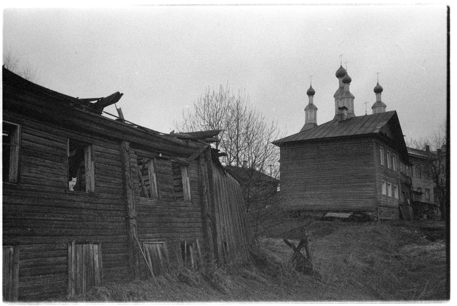 Москвичам покажут настоящую жизнь костромской деревни