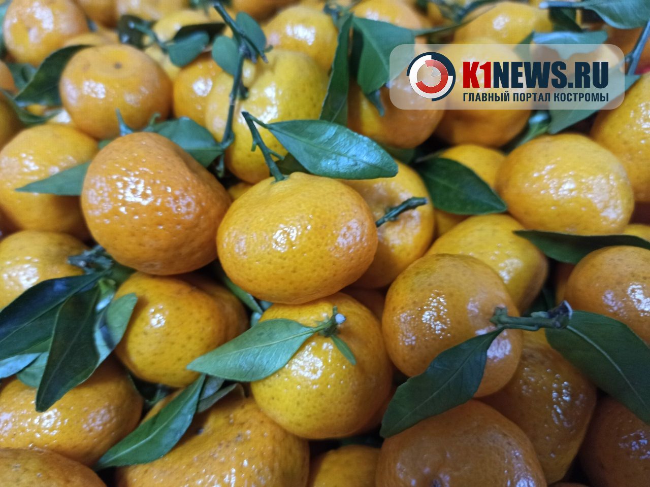 Костромичам советуют не налегать на мандарины