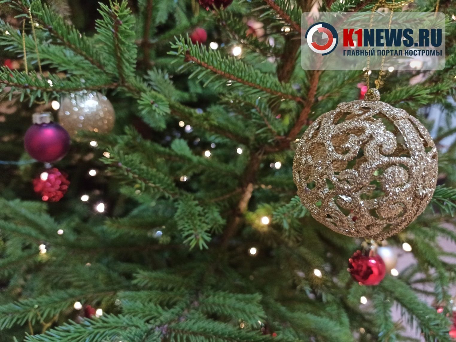 Новогодняя афиша: что происходит в Костроме 29 декабря