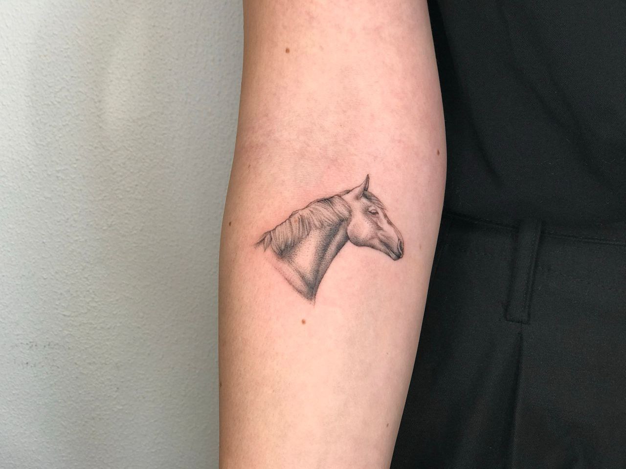 Новогодние лошади ловко прячутся на улицах Костромы