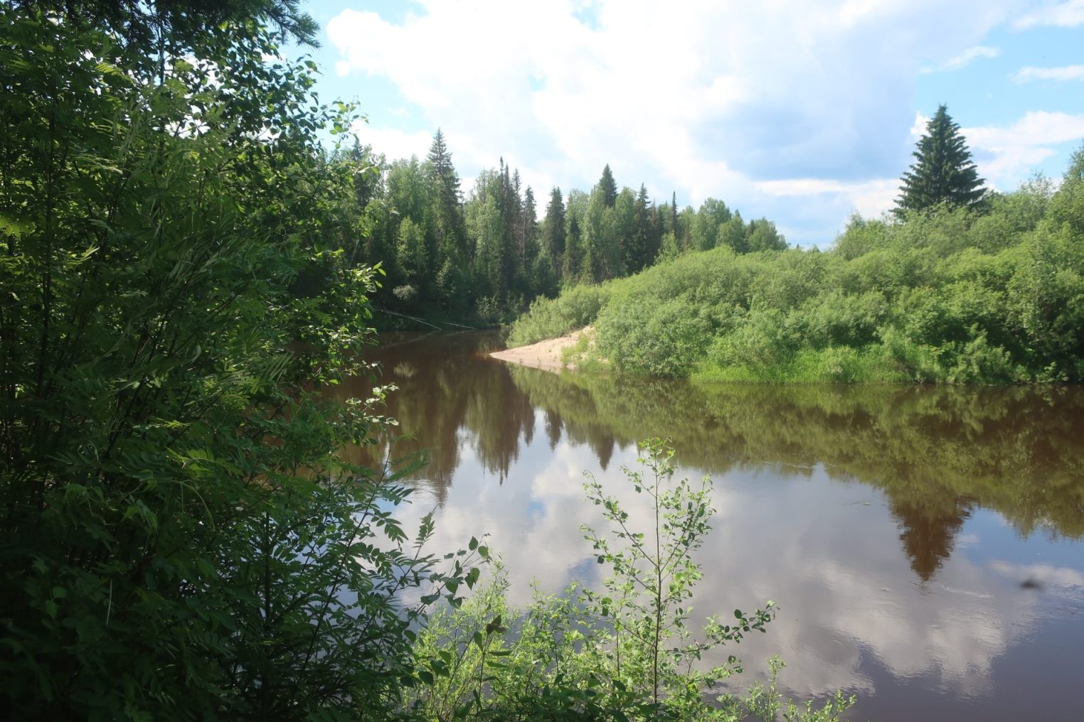 Три новых природных заповедника появились в Костромской области
