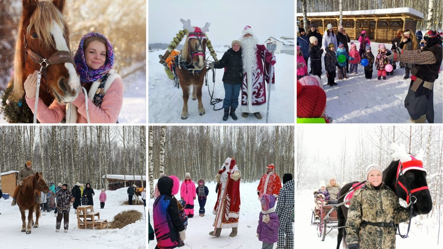 Новогодние лошади ловко прячутся на улицах Костромы